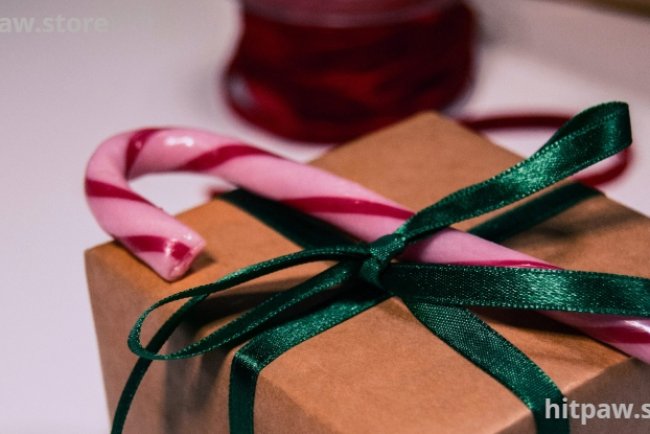 Creative Tech Gifts for All Ages