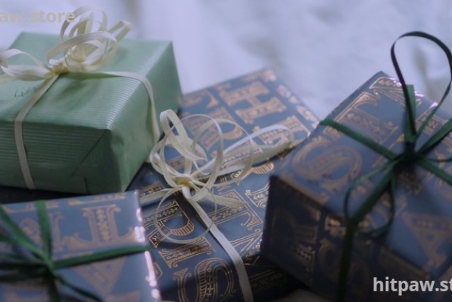 Final Considerations for Digital Creators: Choosing Gadgets That Truly Matter