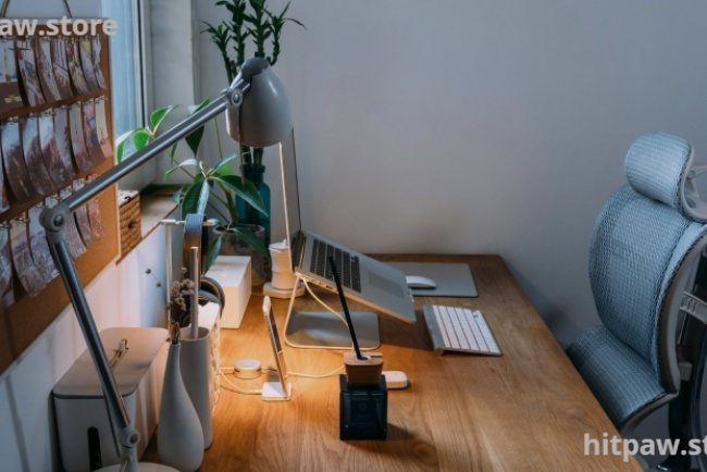 Desk Accessories Reviewed