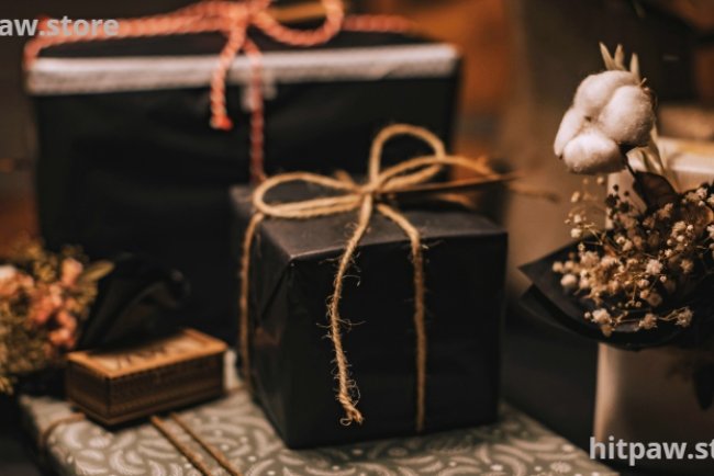 Practical Digital Gifts for Everyday Use