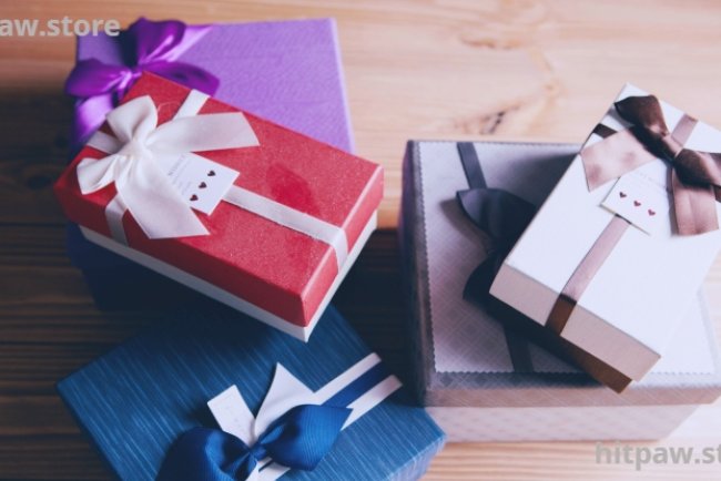 Practical Tool Gifts for Everyday Use