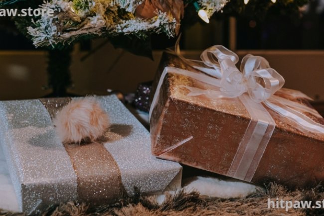 Premium Tech Gifts for Professionals