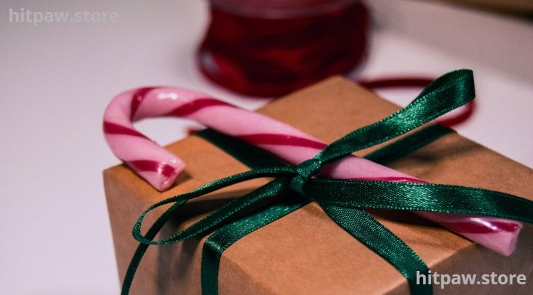 Creative Tech Gifts for All Ages