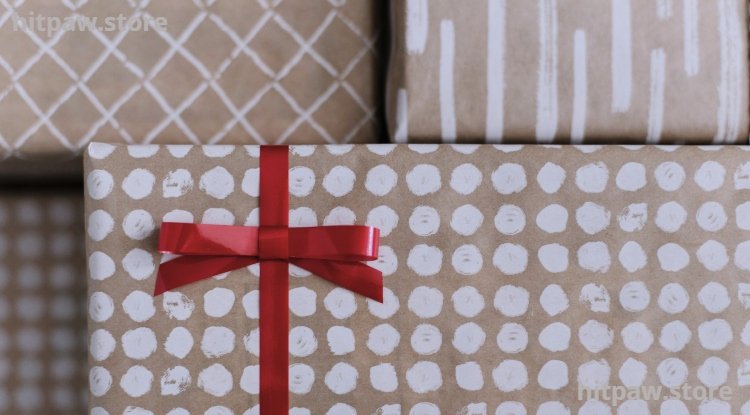 Best Tech Gifts for Holidays: My Personal Guide to Choosing the Perfect Devices