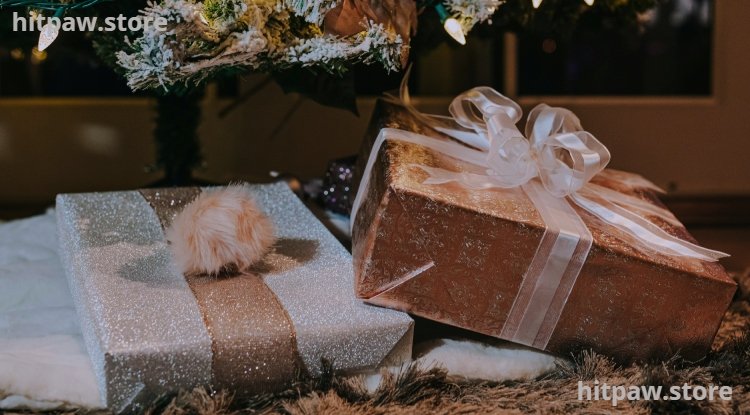 Premium Tech Gifts for Professionals